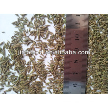 Cumin Seeds